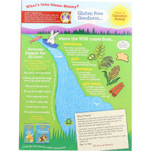 Load image into Gallery viewer, ANNIES HOMEGROWN: Cereal Cinnabunnies, 10 oz