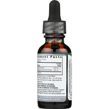 Load image into Gallery viewer, NATURE