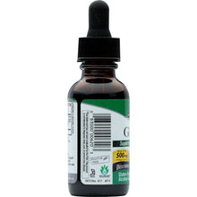 Load image into Gallery viewer, NATURES ANSWER: Ginkgo Biloba Alcohol Free, 1 oz