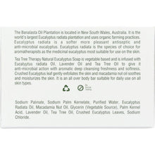 Load image into Gallery viewer, TEA TREE THERAPY: Eucalyptus Vegetable Base Soap, 3.5 oz