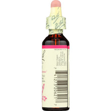 Load image into Gallery viewer, NELSON BACH: Restore Endurance Flower Remedies Oak, 20 ml