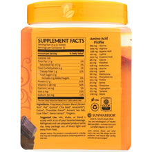 Load image into Gallery viewer, SUNWARRIOR: Protein Powder Classic Plus Chocolate, 375 gm