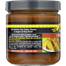 Load image into Gallery viewer, WALDEN FARMS: Caramel Dip Calorie Free, 12 oz
