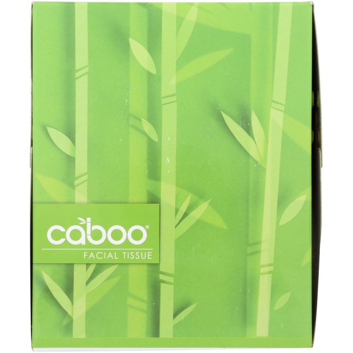 Caboo 2-Ply Facial Tissue Cube 90 Sheets, 1 Ea