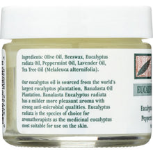 Load image into Gallery viewer, TEA TREE THERAPY: Eucalyptus Chest Rub, 2 oz
