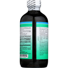 Load image into Gallery viewer, WORLD ORGANIC: Liquid Chlorophyll 100mg, 8 oz
