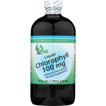 Load image into Gallery viewer, WORLD ORGANIC: Liquid Chlorophyll 100mg, 16 oz
