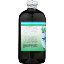 Load image into Gallery viewer, WORLD ORGANIC: Liquid Chlorophyll 100mg, 16 oz
