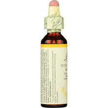 Load image into Gallery viewer, NELSON BACH: Be Decisive Flower Remedies Scleranthus, 20 ml
