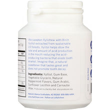 Load image into Gallery viewer, XYLICHEW: Sugar Free Chewing Gum Peppermint Jar, 60 pc
