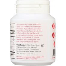 Load image into Gallery viewer, XYLICHEW: Cinnamon Gum Sf, 60 pc
